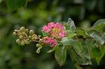 Dcim5090/DSC_1065