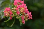 Dcim5102/DSC_2283