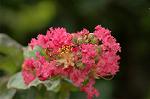 Dcim5102/DSC_2284