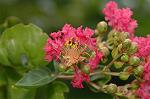 Dcim5102/DSC_2285