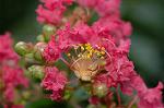 Dcim5102/DSC_2287