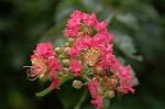 Dcim5102/DSC_2288