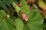 Dcim5102/DSC_2322