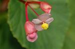 Dcim5102/DSC_2323