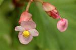 Dcim5102/DSC_2327