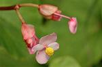 Dcim5102/DSC_2328