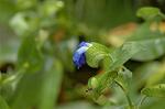Dcim5102/DSC_2345