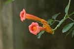 Dcim5102/DSC_2352