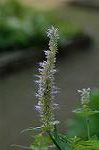 Dcim5103/DSC_2456