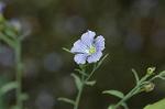 Dcim5104/DSC_2622