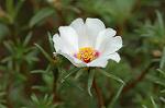 Dcim5108/DSC_2832