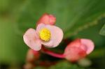 Dcim5108/DSC_2841
