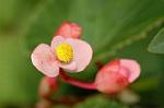Dcim5108/DSC_2842