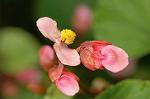 Dcim5108/DSC_2843