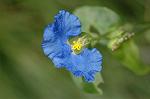 Dcim5108/DSC_2849