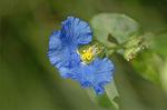 Dcim5108/DSC_2850