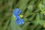 Dcim5108/DSC_2851