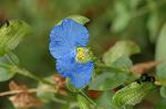Dcim5108/DSC_2853