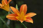 Dcim5108/DSC_2870