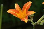 Dcim5108/DSC_2871