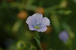Dcim5109/DSC_2931