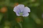 Dcim5109/DSC_2932
