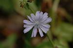 Dcim5109/DSC_2982