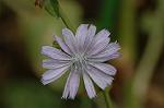 Dcim5109/DSC_2983