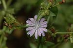 Dcim5109/DSC_2986