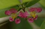 Dcim5109/DSC_3003