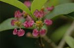 Dcim5109/DSC_3005