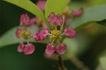 Dcim5109/DSC_3007