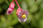 Dcim5117/DSC_3645