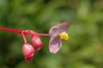 Dcim5117/DSC_3646