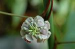 Dcim5117/DSC_3654