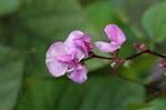 Dcim5119/DSC_3912