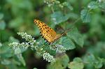 Dcim5120/DSC_3937
