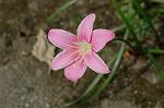 Dcim5120/DSC_4020