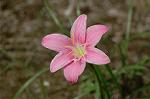 Dcim5120/DSC_4026