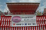 Dcim5122/DSC_4242
