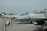 Dcim5125/DSC_4306