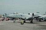 Dcim5125/DSC_4342