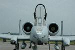 Dcim5125/DSC_4348