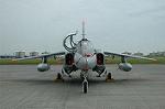 Dcim5126/DSC_4434