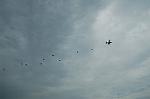 Dcim5129/DSC_4790