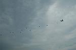 Dcim5129/DSC_4791