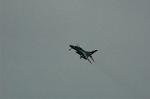 Dcim5130/DSC_4895