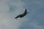 Dcim5130/DSC_4905