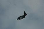 Dcim5130/DSC_4906