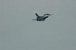Dcim5130/DSC_4921